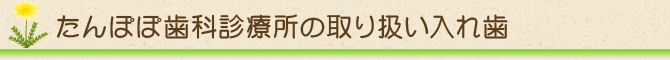 たんぽぽ歯科診療所の取り扱い入れ歯