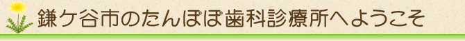 鎌ケ谷市のたんぽぽ歯科診療所へようこそ